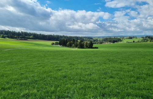 Modern eingerichtete 3-Zi-Ferienwohnung zu vermieten - Foto 4