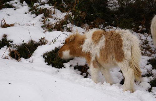 Duplex Usuaia con Jacuzzi - Foto 30