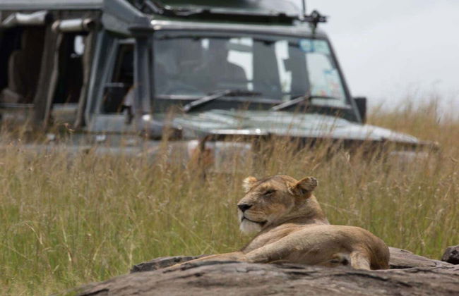 Safari de 3 días por Masái Mara - Foto 2