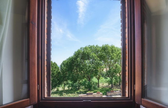 La Panoramica 8 in Papiano - Foto 37