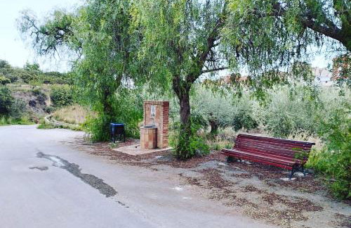 RuralRusticHome - Photo 45