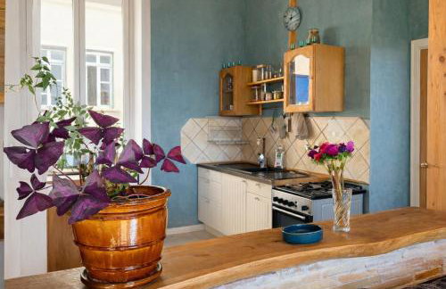 Charming apartment Croix Rousse with a view - Foto 9