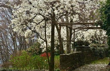 Casa Cesira - Photo 30