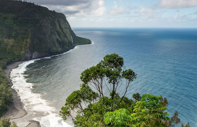 Hawaii Volcanoes National Park Tour - Foto 1