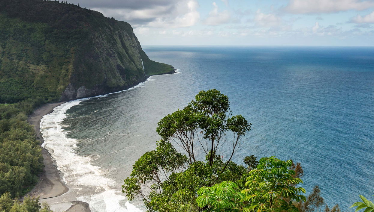 Excursão ao Parque Nacional dos Vulcões do Havaí de avião