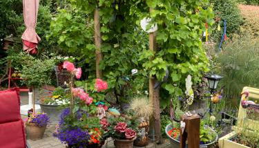 Ferienwohnung am Siel - Foto 5, Garden