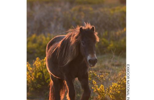 Dunster Studio Apartment - Photo 31