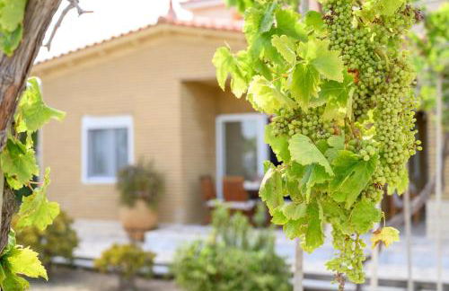 Ocean Melody - Photo 24