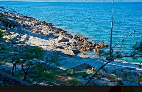 Vila Marijeta - Foto 21