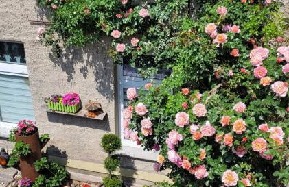 Ferienwohnung Domblick - Foto 13