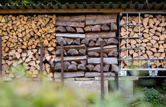 Quiet Home Near Vessertal - Photo 30
