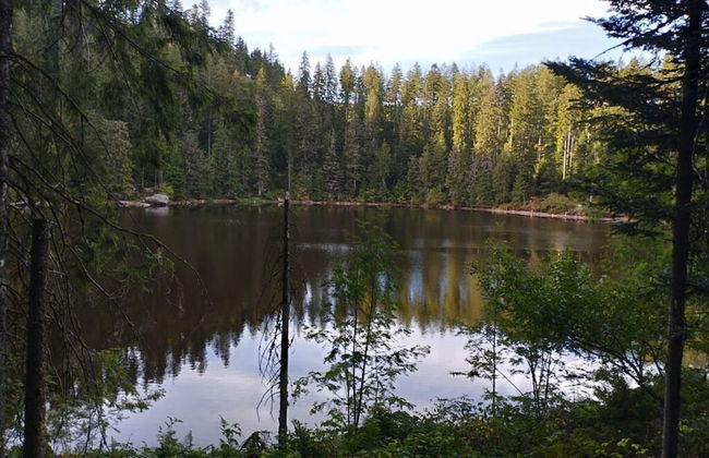 Lovely Apartment in Baden-wurttemberg - Foto 5