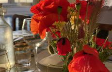 Casa das Rosas - Photo 55