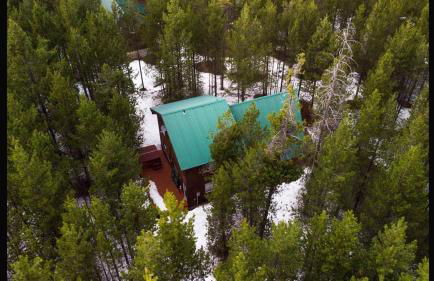 Island Park Hideaway -Bill's Island -Hot Tub -BBQ - Foto 38