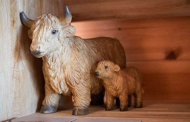 The Firs Country Park - Foto 47