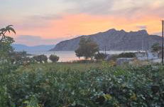 Perivleptos ΙI - Foto 13