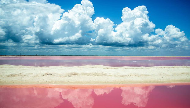 Las Coloradas Natural Park Trip - Foto 5