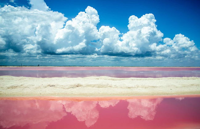 Excursión a Las Coloradas y río Lagartos - Foto 1