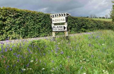 Blaise Cottage Cornwall - Foto 46