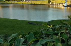 Loft Aconchego da Serra - Foto 29