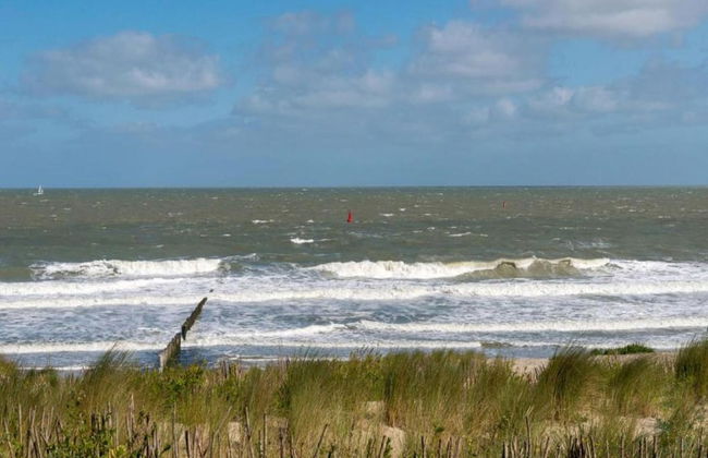 Villa in Cadzand-bad Near North Sea Beach - Photo 43