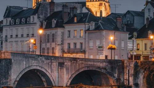 Studio & Gîte Zen de Beauval- 800 m du Zooparc - Photo 3