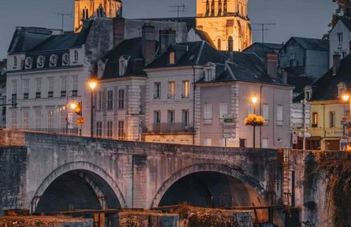 Studio & Gîte Zen de Beauval- 800 m du Zooparc - Photo 3