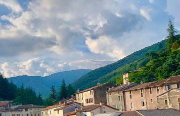 Grande maison cévenole authentique - Foto 21