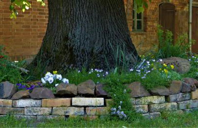 Ferienwohnung im Spreewald in idyllischer Alleinlage - Foto 27