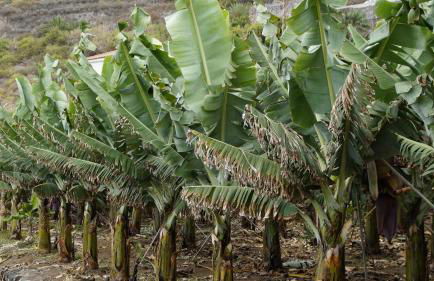 Casa Cecilia - Foto 27