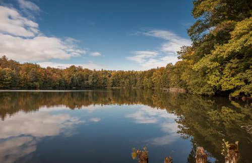 Saunowisko w Krągu - domy Niebieski i Żółty - Foto 12