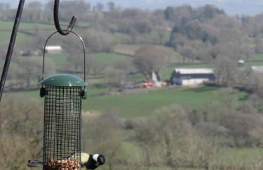 Canad Adar - Song of the Birds - Teifi Valley - Foto 46