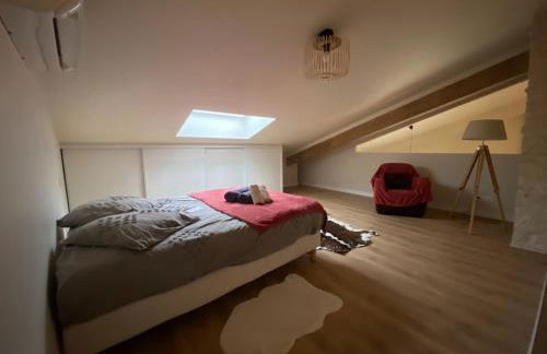 Gîte ChaRose Maison dans le Marais Poitevin - Foto 3