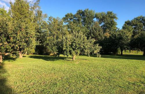 Auszeit Haus am See - Photo 22