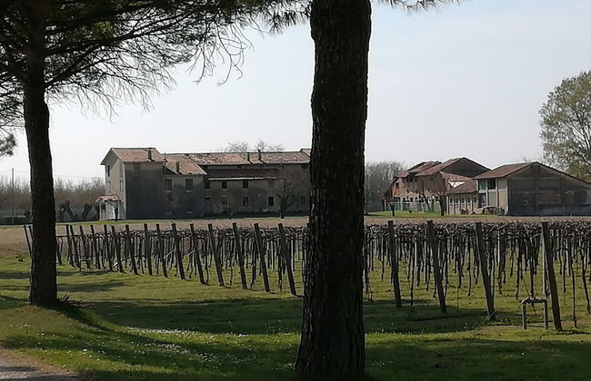 Agriturismo Ai Due Leoni - Foto 53