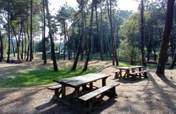 Paraíso Ortegal - Foto 63