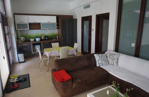 Studio Wisełka Leśna - Foto 6