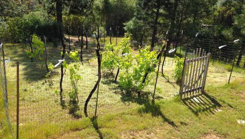 Black Oak Hill Vista near Yosemite - mountain views & starry night sky - Photo 2, Garden
