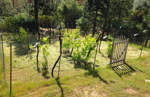 Black Oak Hill Vista near Yosemite - mountain views & starry night sky - Photo 2