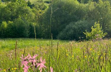 Dom w Starym Sadzie z basenem i sauną - Beskid Wyspowy - Foto 34