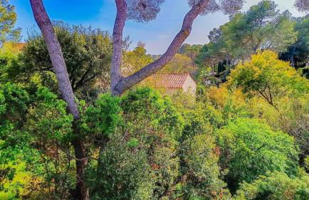 VILLA REIALA Saint-Raphaël - Foto 19