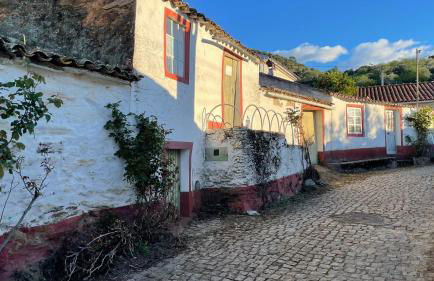 My Grandmas A casa das avós - Foto 19