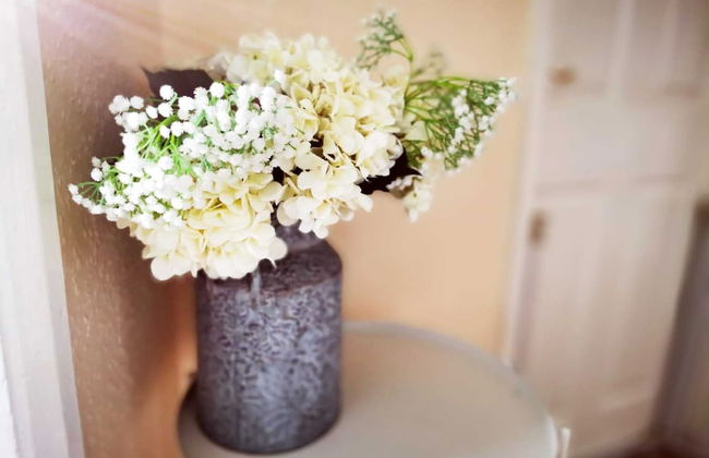 Beachcomber Seafront Pet Friendly Cottage - Foto 22