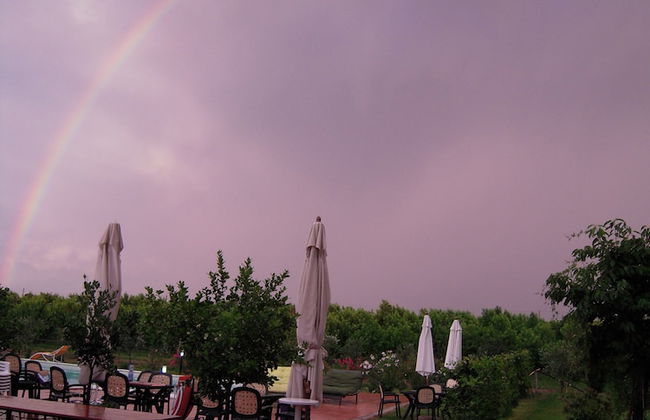 La Prosciutta - Photo 36