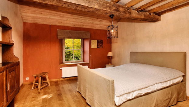 Ardennic Farmhouse for Groups - Photo 4, Room