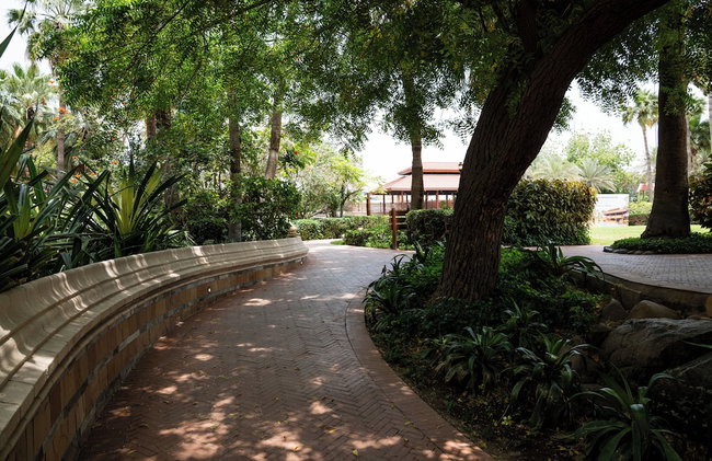Gulf Executive Residence - Foto 51