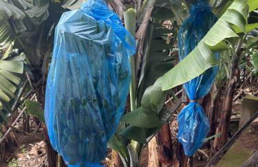 Casa Mary Bela's - Foto 26