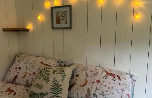 Cosy Owls Roost Hut With Private Hot Tub - Foto 77