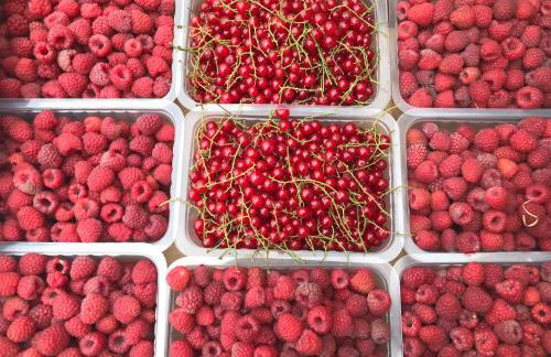 Le chant de la rivière en Berry - Foto 30
