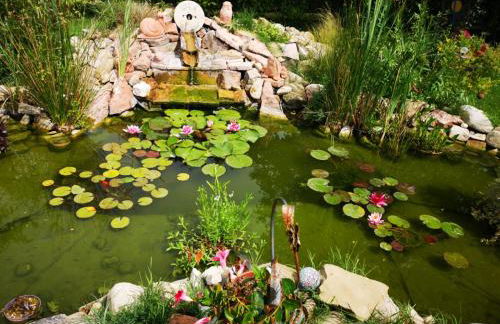 River Melody - Foto 34